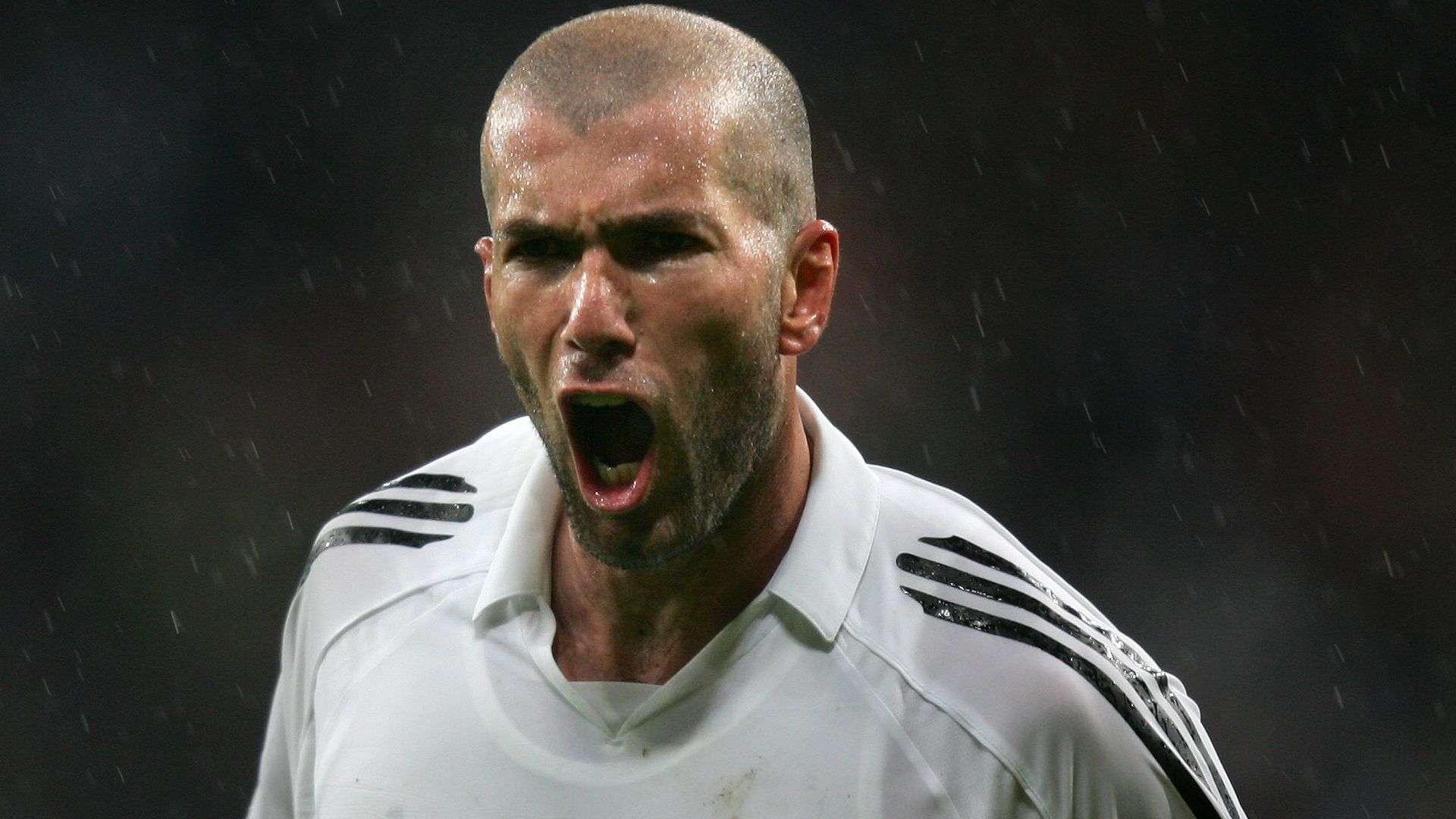 成功晋级决 成功晋级决