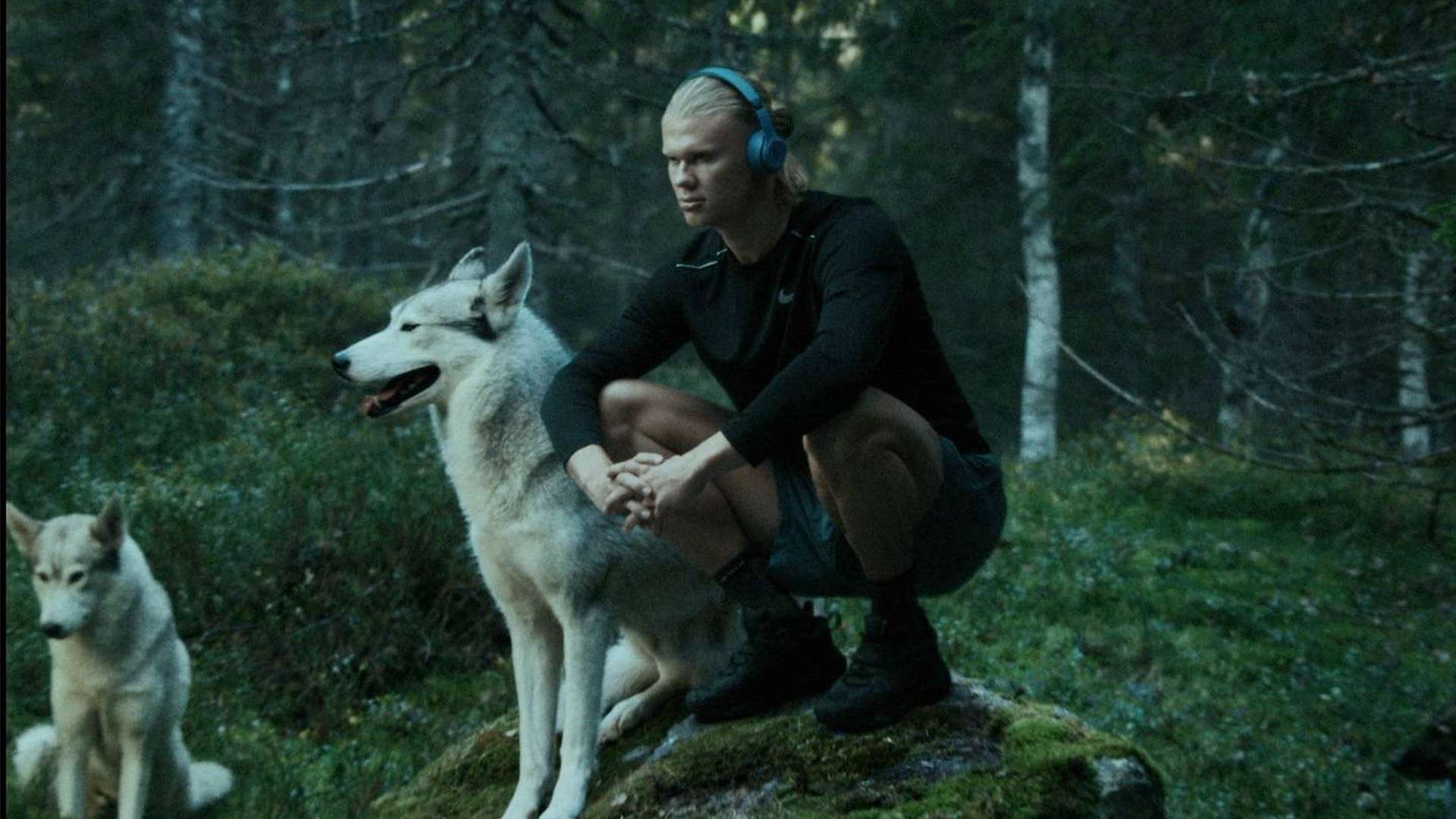 市组的优秀 市组的优秀